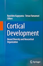 Cortical Development