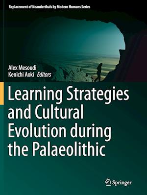 Learning Strategies and Cultural Evolution during the Palaeolithic