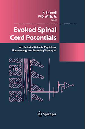 Evoked Spinal Cord Potentials