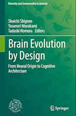 Brain Evolution by Design