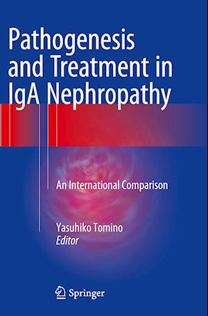 Pathogenesis and Treatment in IgA Nephropathy