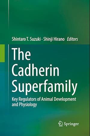 The Cadherin Superfamily