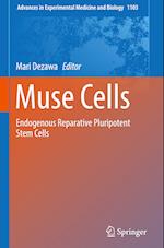 Muse Cells