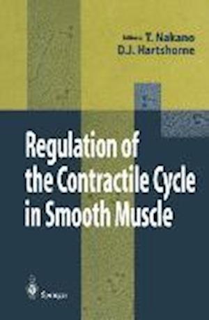 Regulation of the Contractile Cycle in Smooth Muscle