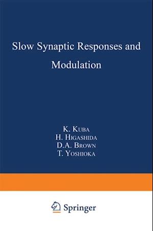 Slow Synaptic Responses and Modulation