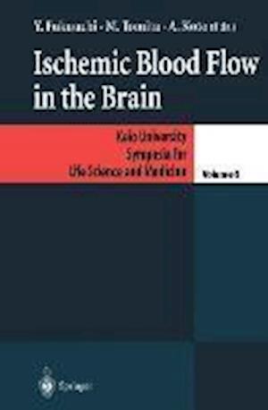 Ischemic Blood Flow in the Brain