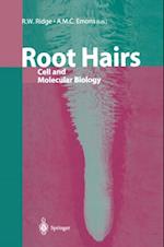 Root Hairs