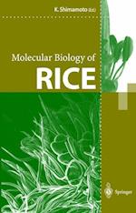 Molecular Biology of Rice