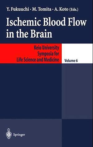 Ischemic Blood Flow in the Brain