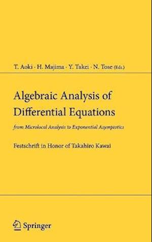 Algebraic Analysis of Differential Equations