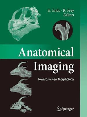 Anatomical Imaging