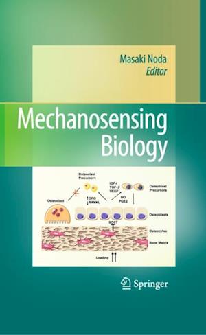 Mechanosensing Biology