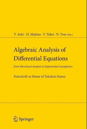 Algebraic Analysis of Differential Equations