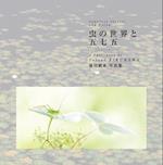 Japanese Insects and Haiku