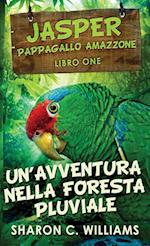 Un'avventura Nella Foresta Pluviale