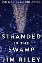Stranded In The Swamp 