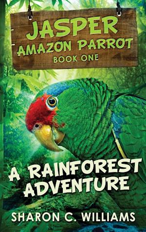 A Rainforest Adventure