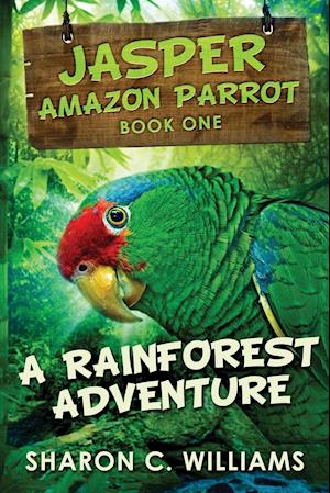 A Rainforest Adventure: Large Print Edition