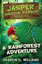 A Rainforest Adventure: Large Print Edition 