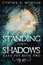 Standing in Shadows 