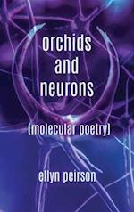 Orchids And Neurons