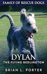 Dylan - The Flying Bedlington 