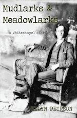Mudlarks And Meadowlarks