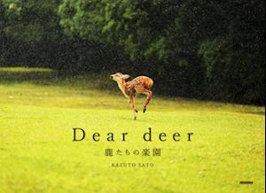 Dear Deer