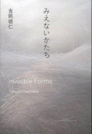 Tokujin Yoshioka - Invisible Forms