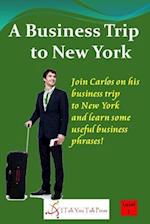 A Business Trip to New York