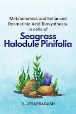 Metabolomics and Enhanced Rosmarinic Acid Biosynthesis in cells of Seagrass Halodule Pinifolia 