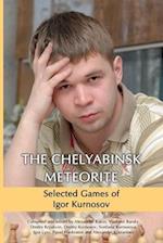 The Chelyabinsk Meteorite