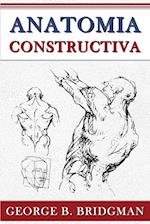 Anatomia Constructiva 
