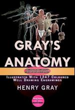 Gray's Anatomy