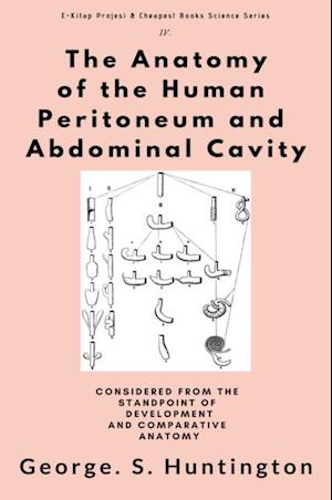 Anatomy of the Human Peritoneum and Abdominal Cavity