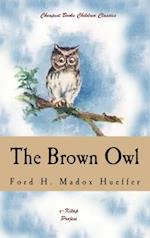 Brown Owl