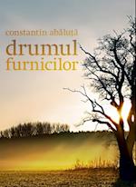 Drumul furnicilor