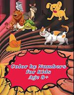 Color by Numbers for Kids Age 8-12
