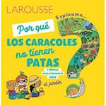 ¿Por Qué Los Caracoles No Tienen Patas?