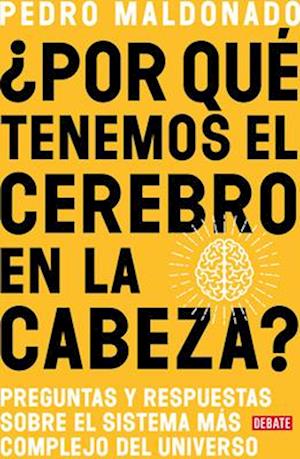 ¿por Qué Tenemos El Cerebro En La Cabeza?