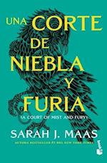 Una Corte de Niebla Y Furia (Una Corte de Rosas Y Espinas 2 ) / A Court of Mist and Fury (a Court of Thorns and Roses, Acotar 2)