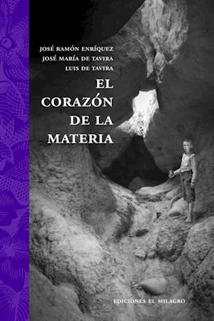 El corazon de la materia