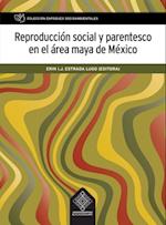 Reproduccion social y parentesco en el area maya de Mexico