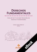 Derechos Fundamentales