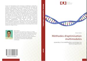 Méthodes d'optimisation multimodales