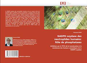 NADPH oxydase des neutrophiles humains: Rôle de phosphatases