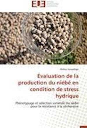 Évaluation de la production du niébé en condition de stress hydrique