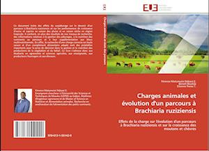 Charges animales et évolution d'un parcours à Brachiaria ruziziensis