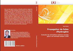 Propagation de fuites d''hydrogène