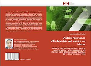 Antibiorésistance d'Escherichia coli aviaire au Maroc